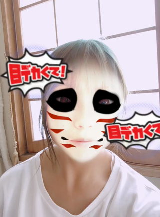 本日の忍者の記事動画