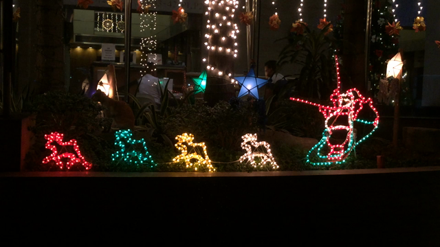 クリスマスの電飾の記事動画