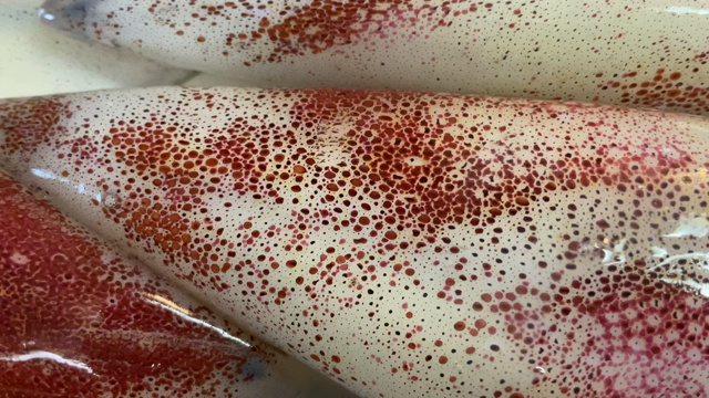 信也丸 和歌山椿 イカメタル (2022/8/18) ウネリが大きく難しかったです．．の記事動画