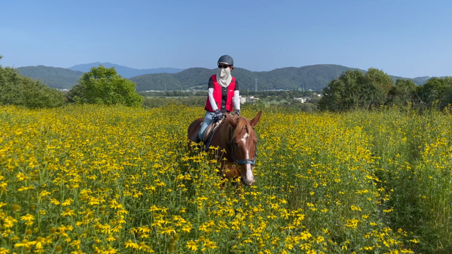 デート！の記事動画