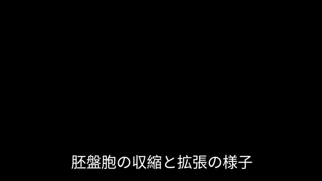 胚盤胞の収縮と拡張は成長のために必要ですの記事動画