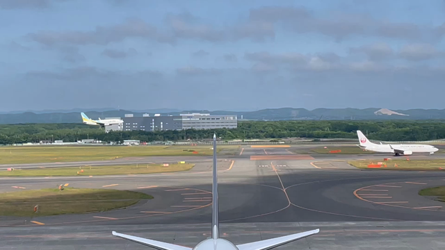 薔薇夏日の記事動画