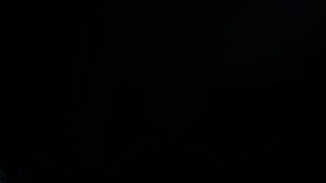 irusa　泉佐野編②　誕生○○子の記事動画