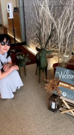 奈良にお泊まりならここ☆★ 絶景の記事動画