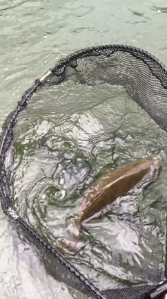 動画頂きました!!真野ダムの記事動画