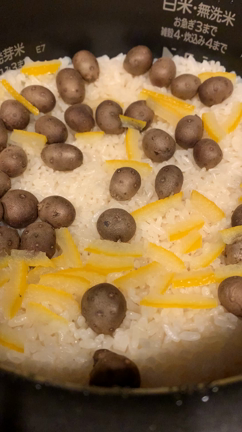 緊急事態宣言　再発令‼︎の記事動画