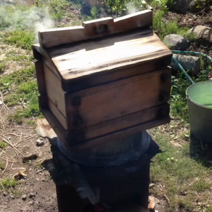 節句の餅つき‼︎の記事動画