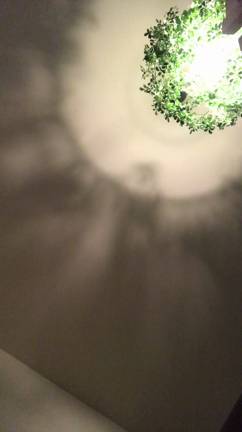 楽ちん美人さん^ ^いらっしゃい♡の記事動画