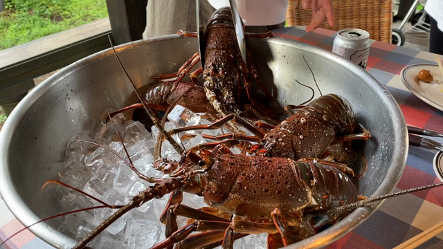 夏の終わりはグランピングの記事動画