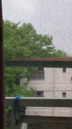 雷鳴轟く夕刻。の記事動画