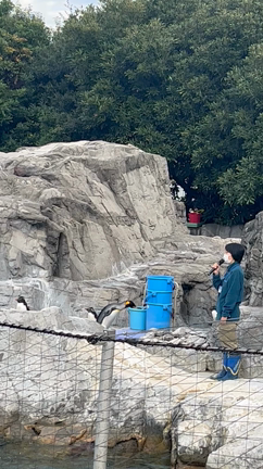 呼吸するように生きて夢を叶える✨の記事動画