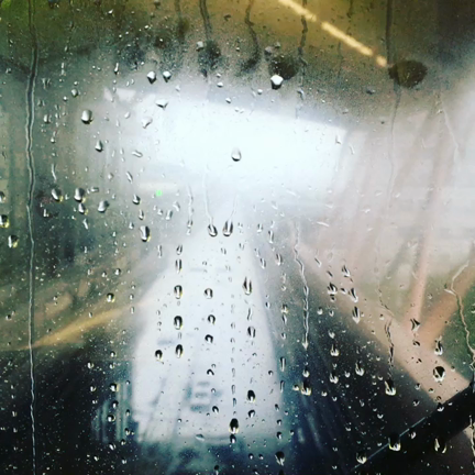 雨のゆりかもめの記事動画