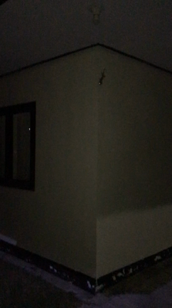 帰国します！の記事動画