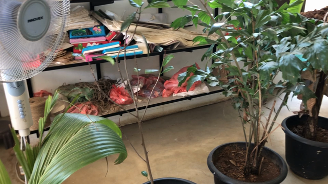 スリランカに行ってきました②の記事動画