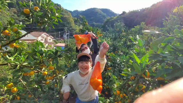 秋の湯河原への記事動画