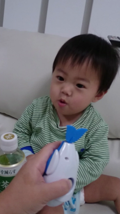 1歳(*´∀｀)の記事動画