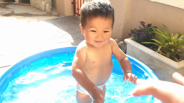 最近の出来事の記事動画