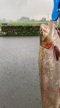 7月10日、アングラーズパークキングフィッシャー！の記事動画