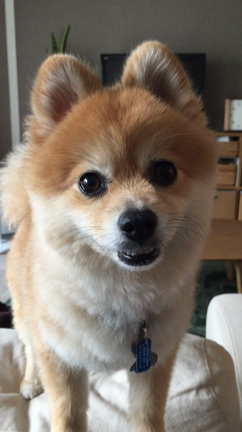 どうせ疲れるなら、足踏みより前進( ´ ▽ ` )ﾉの記事動画