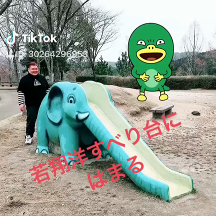 ハマるの記事動画