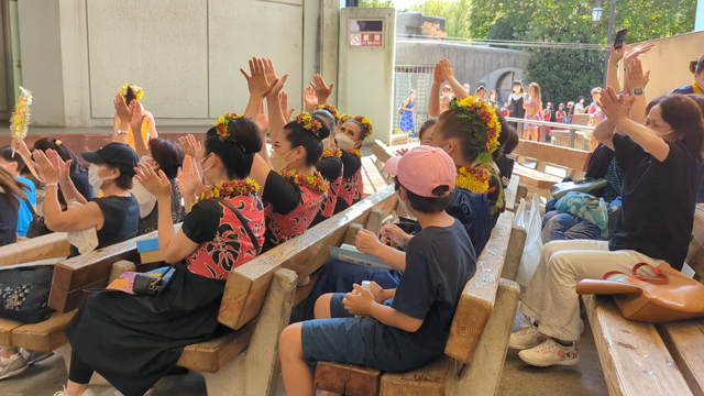 ソロ部門優勝の快挙‼️の記事動画