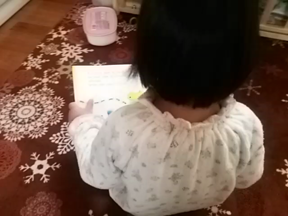 姉はつらいよの記事動画