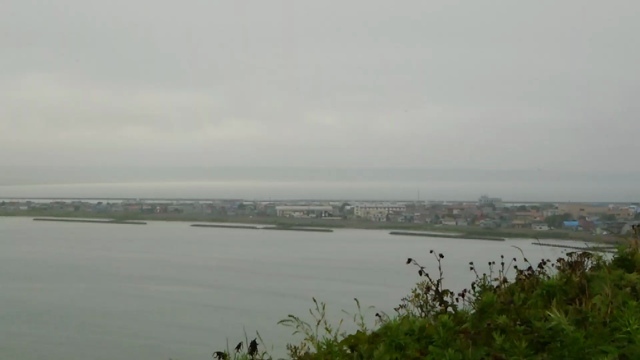 太平洋の海原の記事動画