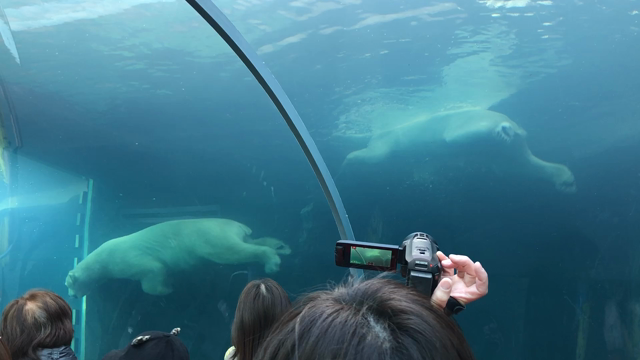 札幌市円山動物園で感じたのは、子どもの未来だった。の記事動画