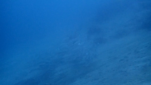 ヘラヤガラの擬態は何の為?@バリ島ダイビング　アメッドの記事動画