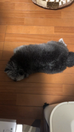 ホームページリニューアルしました。の記事動画