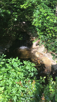 東京大神宮〜の記事動画