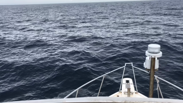 2019シーズンはじまり〜の記事動画