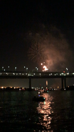 夏の花火の記事動画