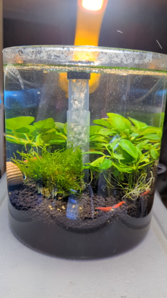 ふなふなととやオールスターボトルの記事動画