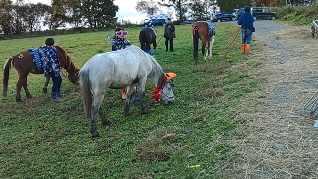 2023 ハロウィンの記事動画