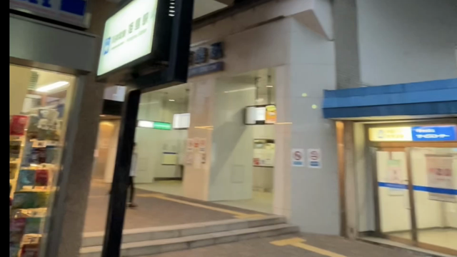 ハト道場の記事動画