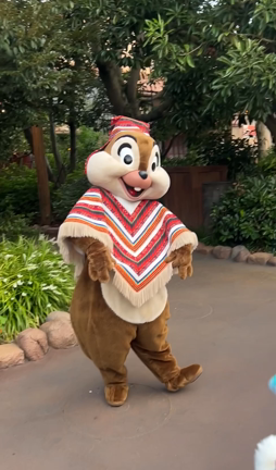 バースデーロストチデグリの記事動画