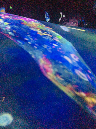 チームラボ・ボーダレスレポ٩(๑′∀ ‵๑)۶•*¨*•.¸¸♪の記事動画