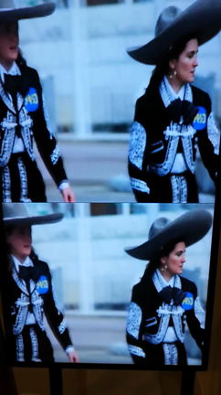 動画の記事動画