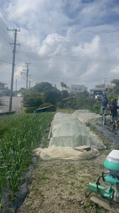 沖縄の奇妙なパリ〜素通り出来ない道〜の記事動画