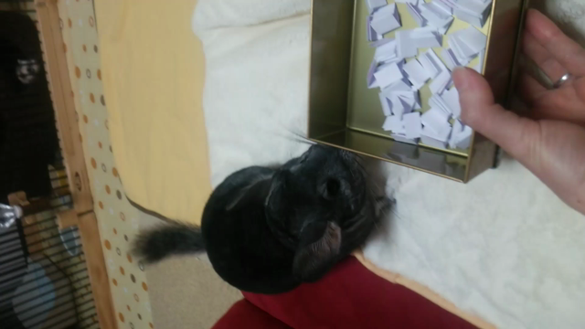 結果発表♪の記事動画