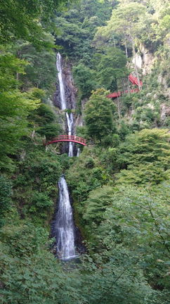 こんな近くにエネギースポットが (^_^)v　の記事動画