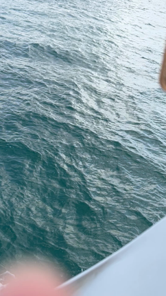 いおりちゃんと行きたかった所にいくの記事動画