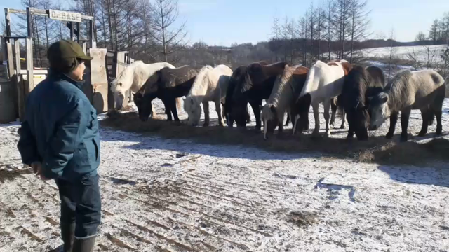 2022 訓示の記事動画