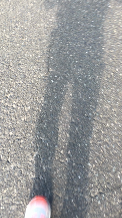 ランニング中のアッという出来事の記事動画