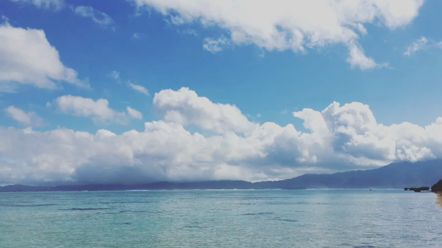 【11/3】さよなら、生理さん。の記事動画