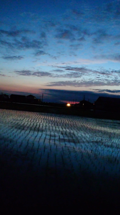 やる気の源の記事動画