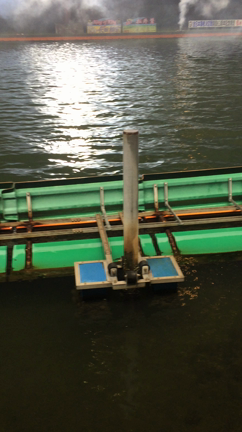 たまには・・・   6/11若松記念の記事動画