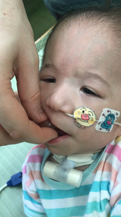 ぶどう園と…の記事動画