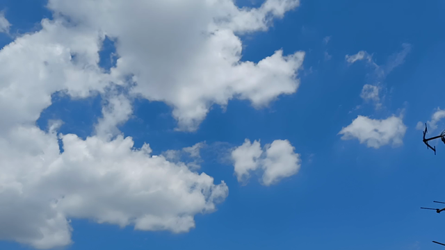 TOKYO2020 オリンピックの記事動画